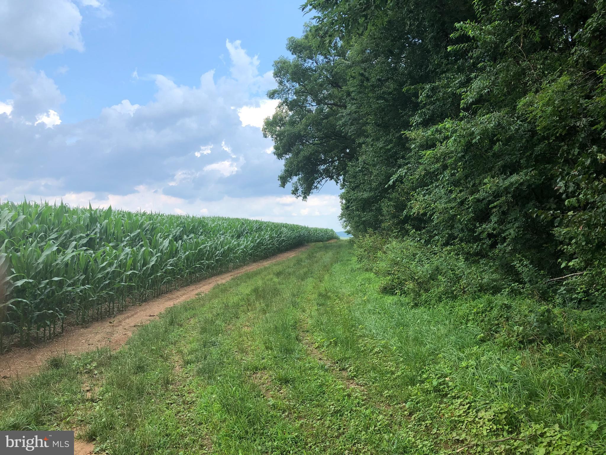 1652 Benson Road Westminster, MD 21158 - Photo 75 of 94