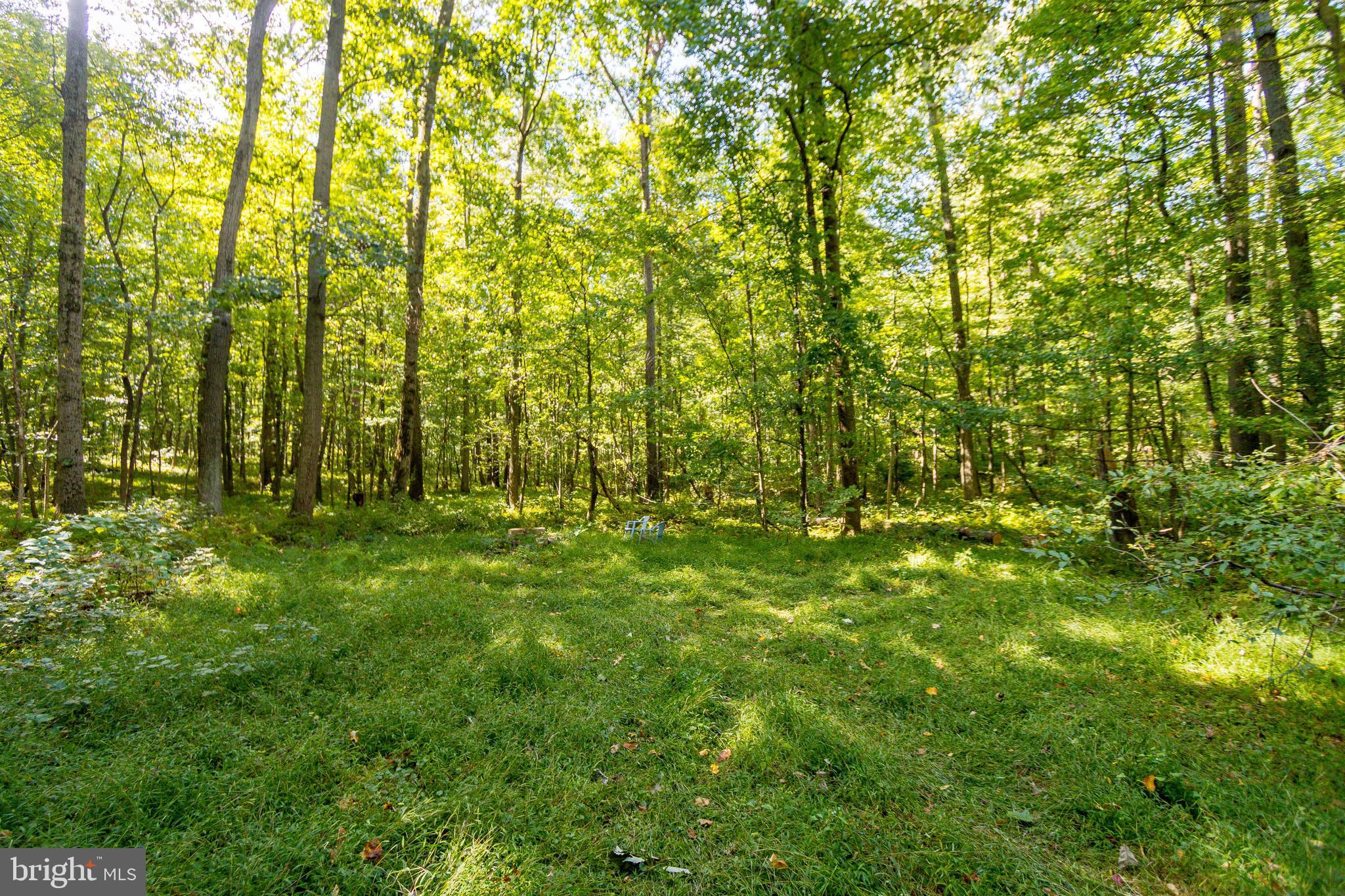 1652 Benson Road Westminster, MD 21158 - Photo 76 of 94