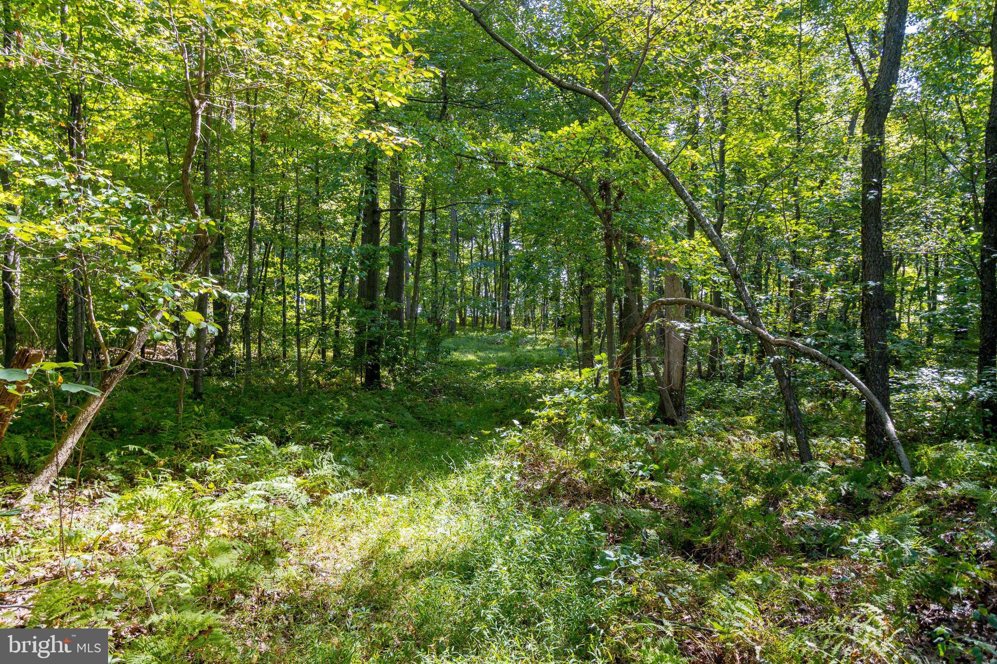 1652 Benson Road Westminster, MD 21158 - Photo 77 of 94