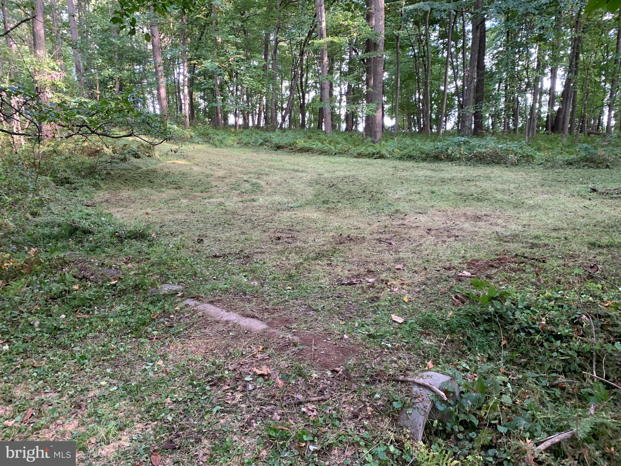 1652 Benson Road Westminster, MD 21158 - Photo 80 of 94