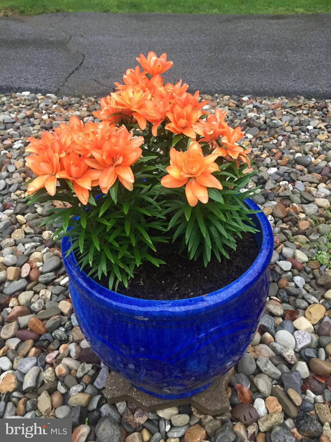 1652 Benson Road Westminster, MD 21158 - Photo 92 of 94