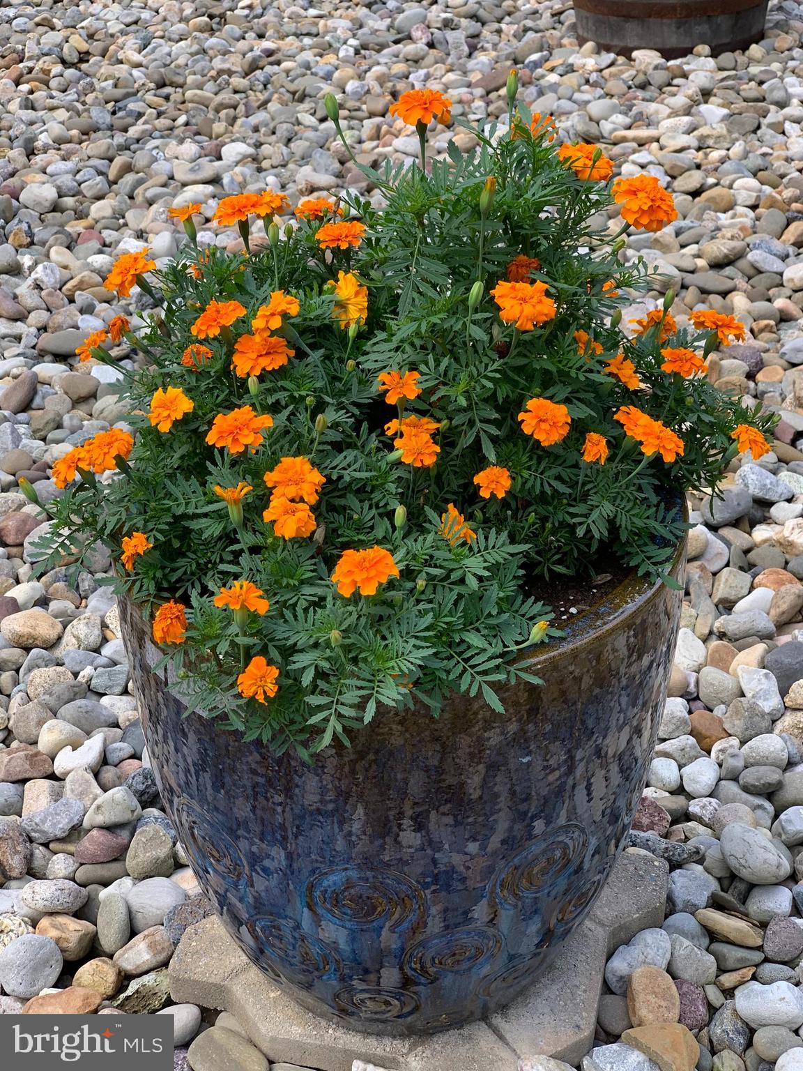 1652 Benson Road Westminster, MD 21158 - Photo 94 of 94