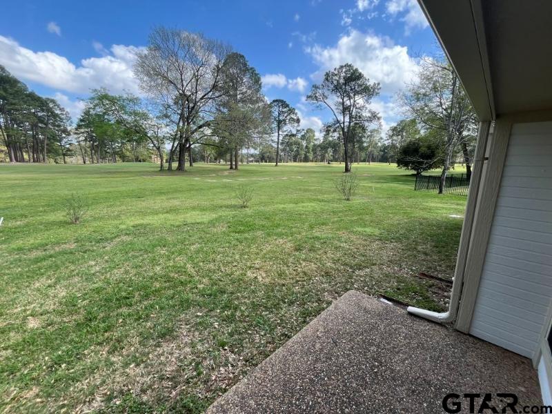 198 Pine Tree, Unit B Holly Lake Ranch, TX 75765 - Photo 32 of 33