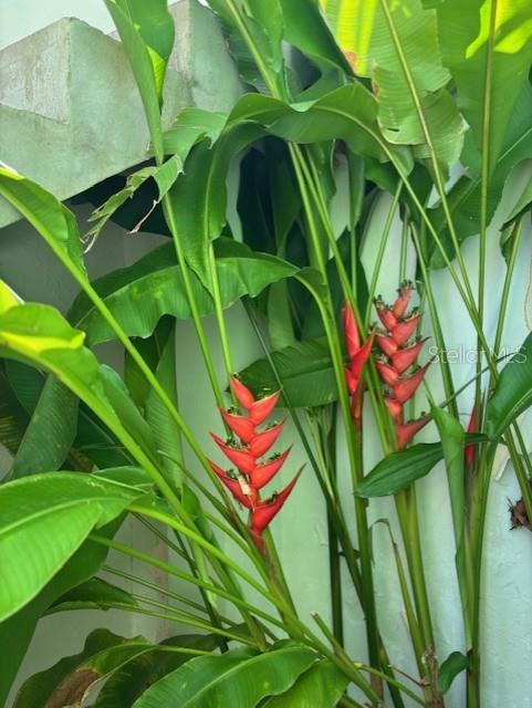 8 (mar), Unit D8 Fajardo, PR 00738 - Photo 6 of 94