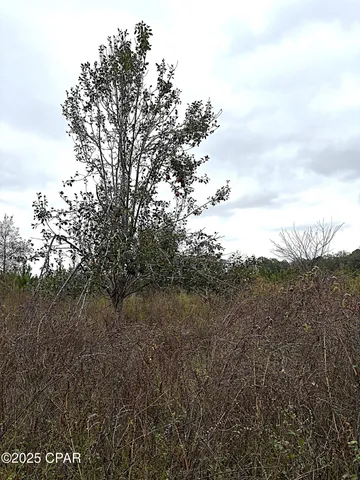 $2,425,500 | Tbd North Tbd N North Golden Road, Campbellton, FL 32426