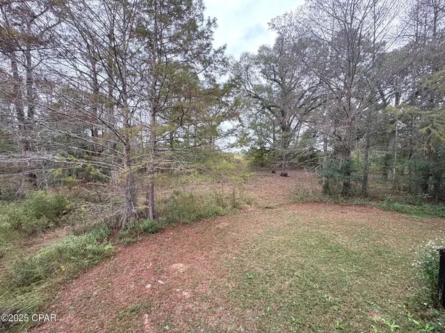 $2,425,500 | Tbd North Tbd N North Golden Road, Campbellton, FL 32426