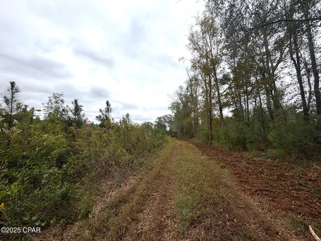 $2,425,500 | Tbd North Tbd N North Golden Road, Campbellton, FL 32426