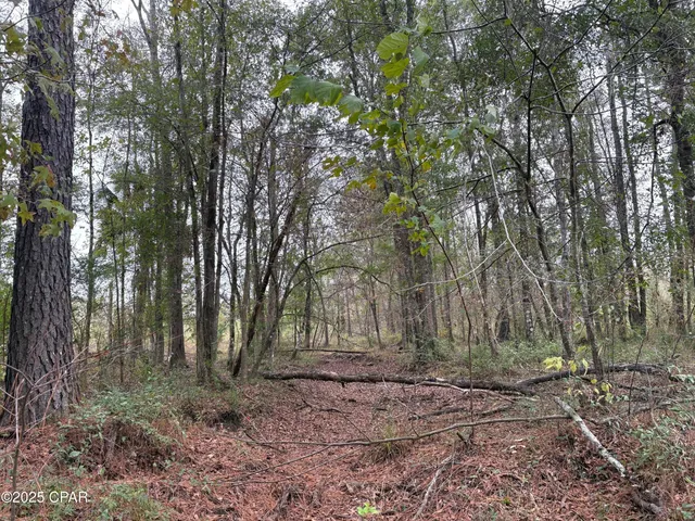 $2,425,500 | Tbd North Tbd N North Golden Road, Campbellton, FL 32426