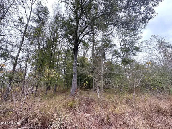 $2,425,500 | Tbd North Tbd N North Golden Road, Campbellton, FL 32426