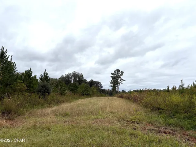 $2,425,500 | Tbd North Tbd N North Golden Road, Campbellton, FL 32426