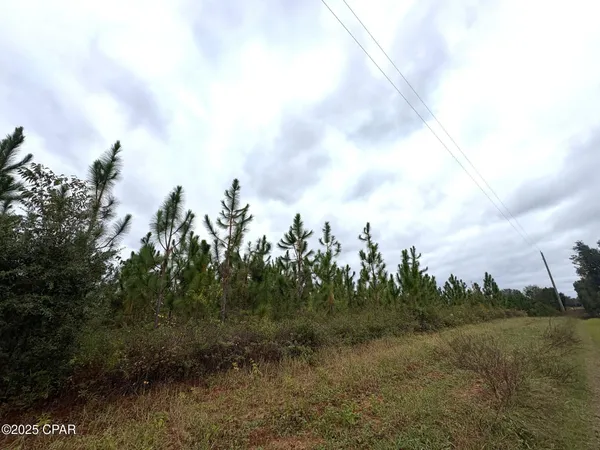$2,425,500 | Tbd North Tbd N North Golden Road, Campbellton, FL 32426