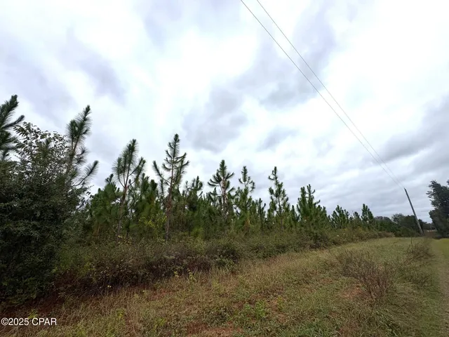 $2,425,500 | Tbd North Tbd N North Golden Road, Campbellton, FL 32426