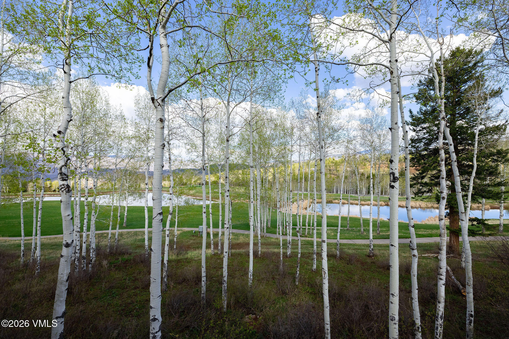 209 Forest Trail Edwards, CO 81632 - Photo 41 of 59 2604_209_forest_tr_exterior_view_b