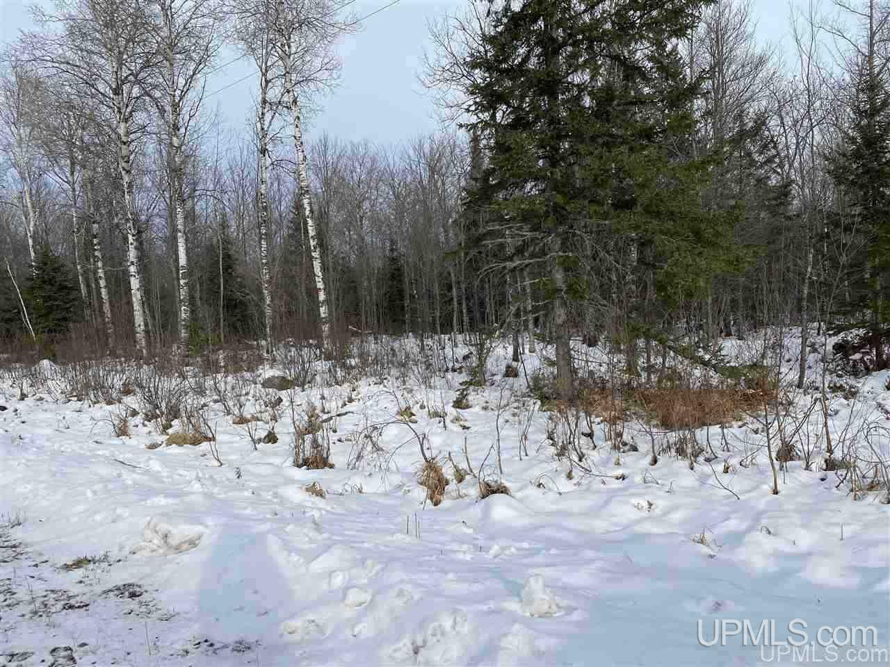 On South Barber Road Bessemer, MI 49911 - Photo 13 of 21 Gallery Image 13