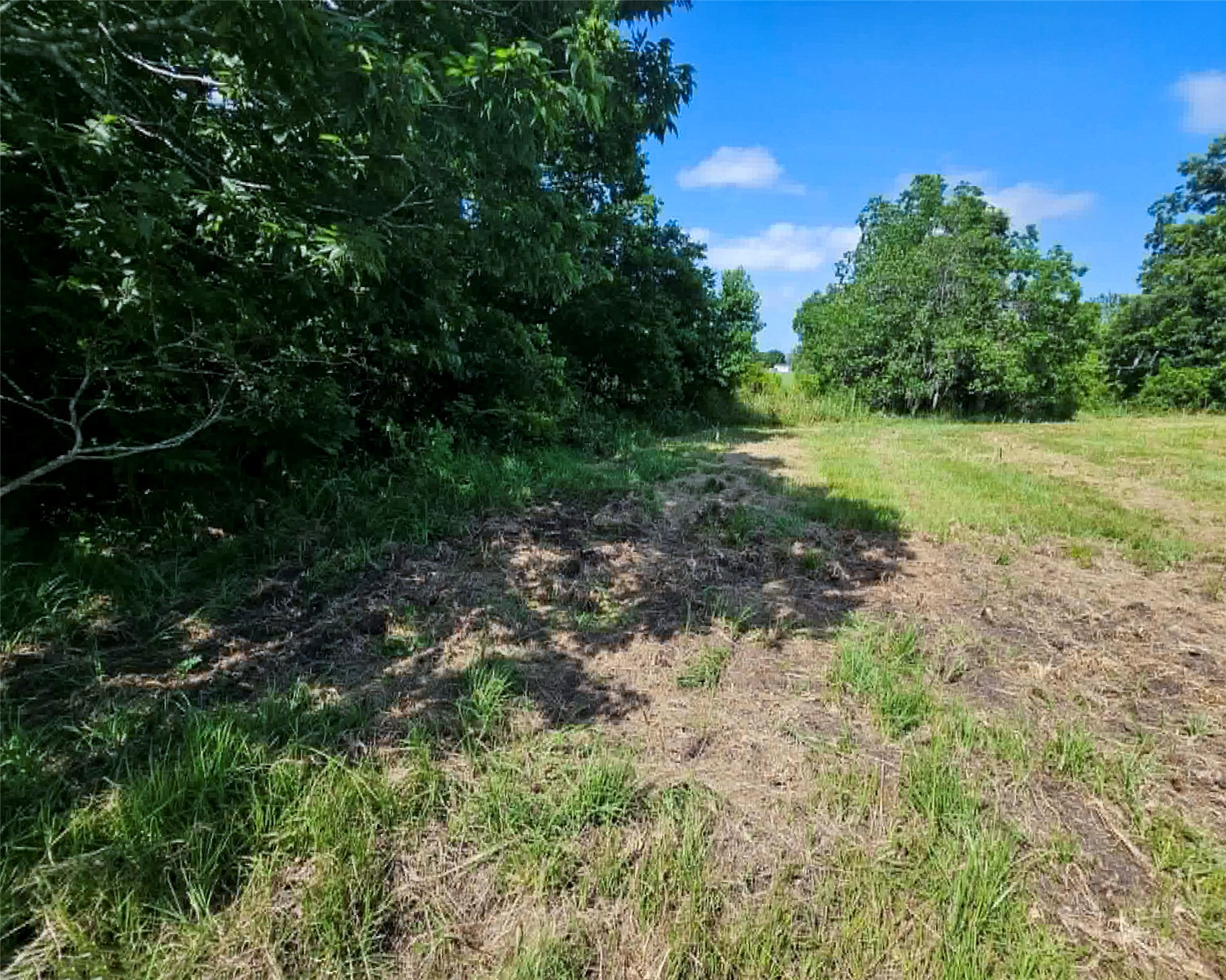 543 Pony Trail Angleton, TX 77515 - Photo 4 of 6