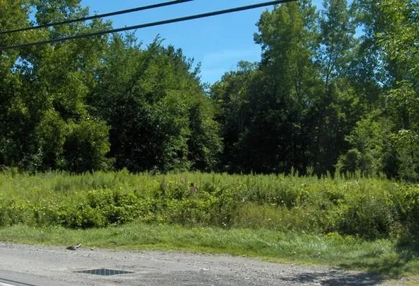 a view of a yard