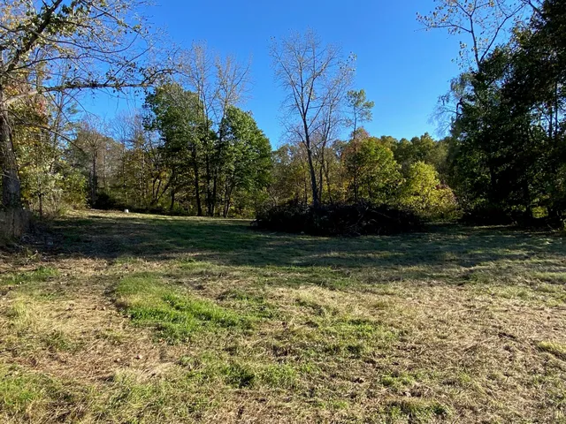a view of outdoor space and garden
