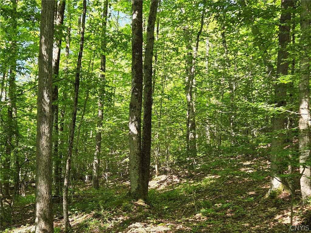 446 Nys Route Cuba, NY 14727 - Photo 38 of 47