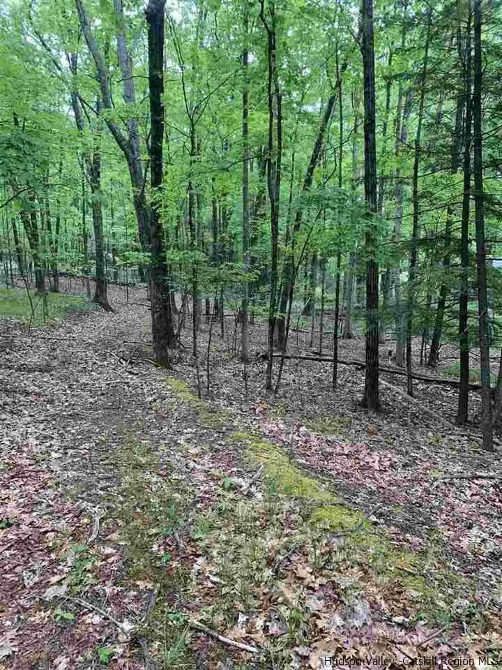 Tbd Tbd County Road Olivebridge, NY 12461 - Photo 1 of 1 Photo 1
