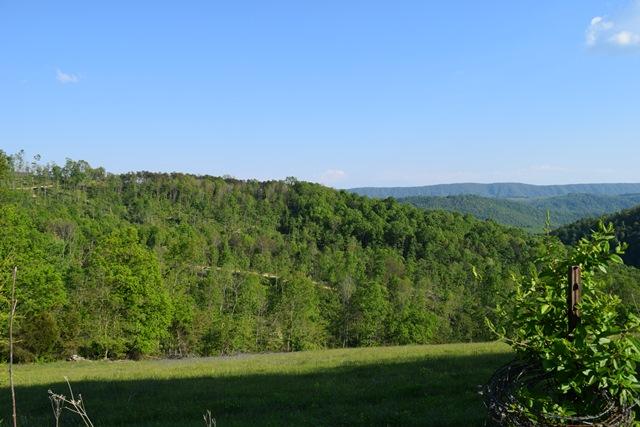 4 Raven Hill Road Tazewell, TN 37879 - Photo 14 of 23 DSC_0967-001