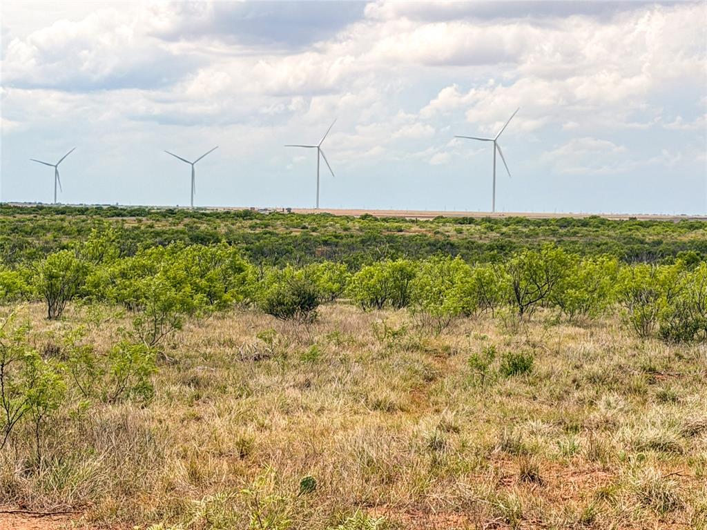 235 227 Haskell Tx 79521 Haskell, TX 79521 - Photo 8 of 40 a view of a field with an tree