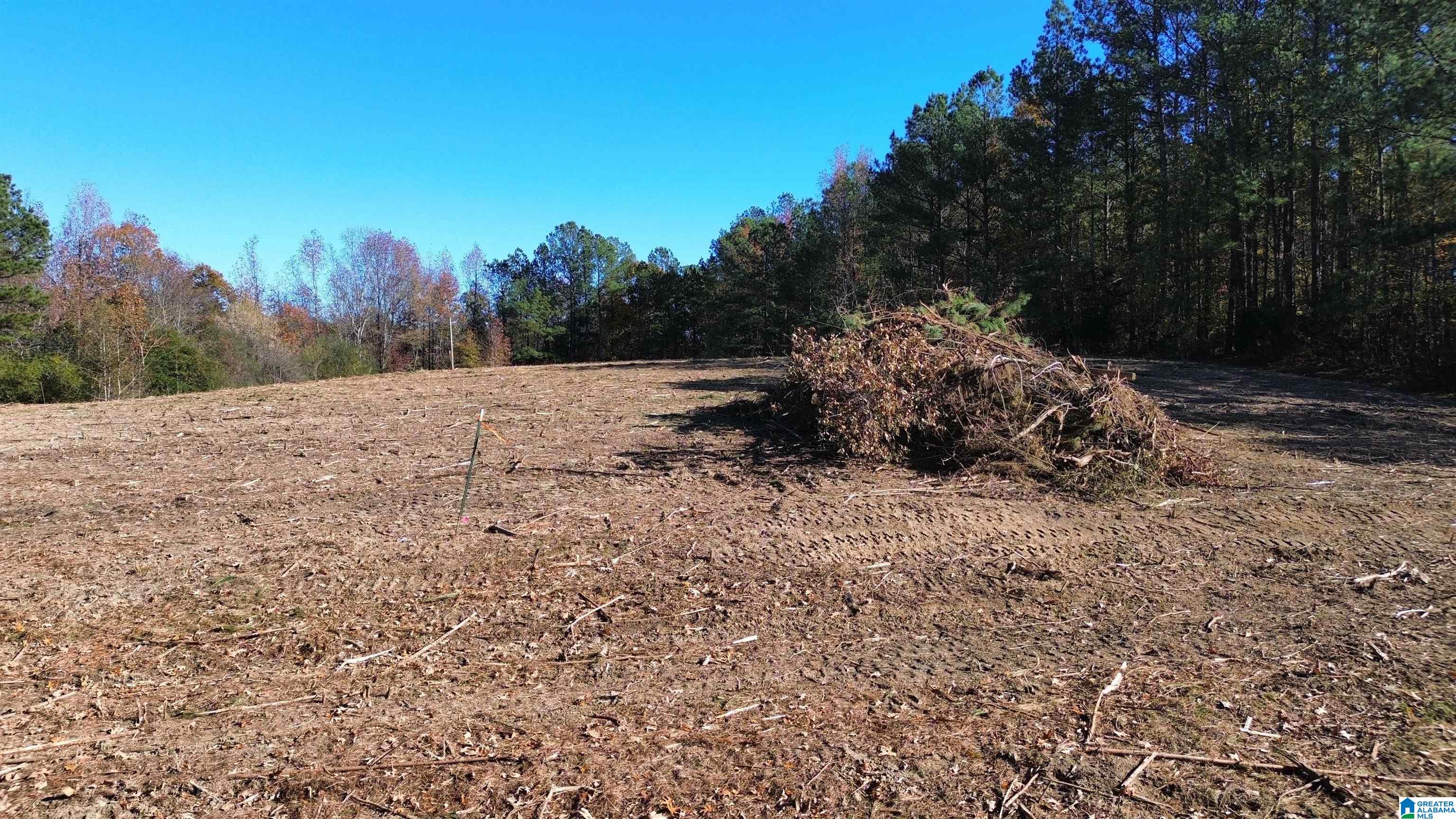 171 Water Tank Road, Unit 1 62 Hayden, AL 35079 - Photo 3 of 5