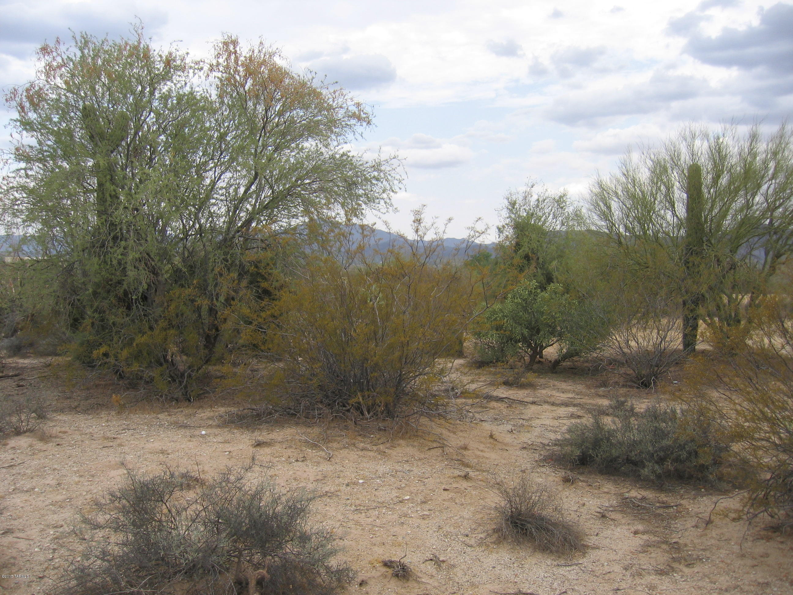 5633 West Oasis Road, Unit 1 Tucson, AZ 85742 - Photo 2 of 10