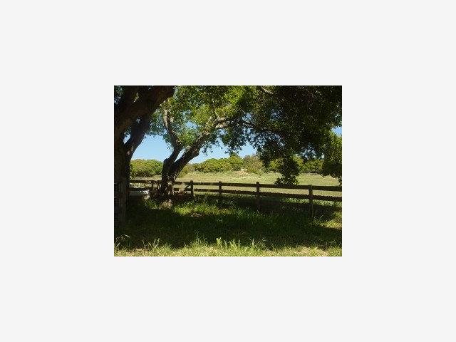 161 Hidden Valley Road Watsonville, CA 95076 - Photo 4 of 9 Gallery Image 4