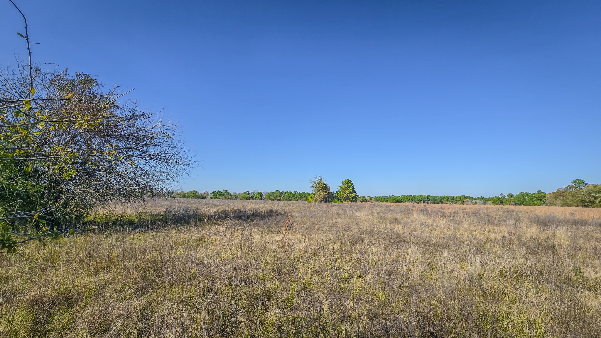 Tbd Lot 1-2 Tbd Road New Waverly, TX 77358 - Photo 19 of 29 a view of beach and lake