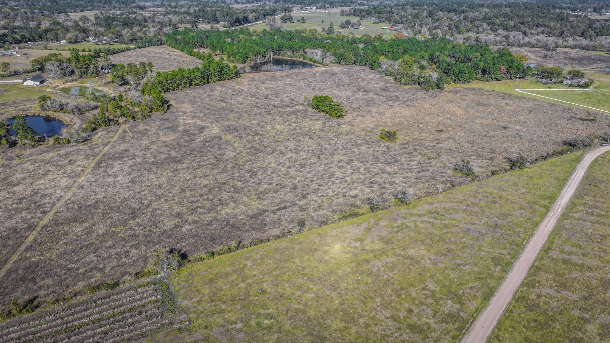 Tbd Lot 1-2 Tbd Road New Waverly, TX 77358 - Photo 20 of 29 a view of a dry yard with wooden fence