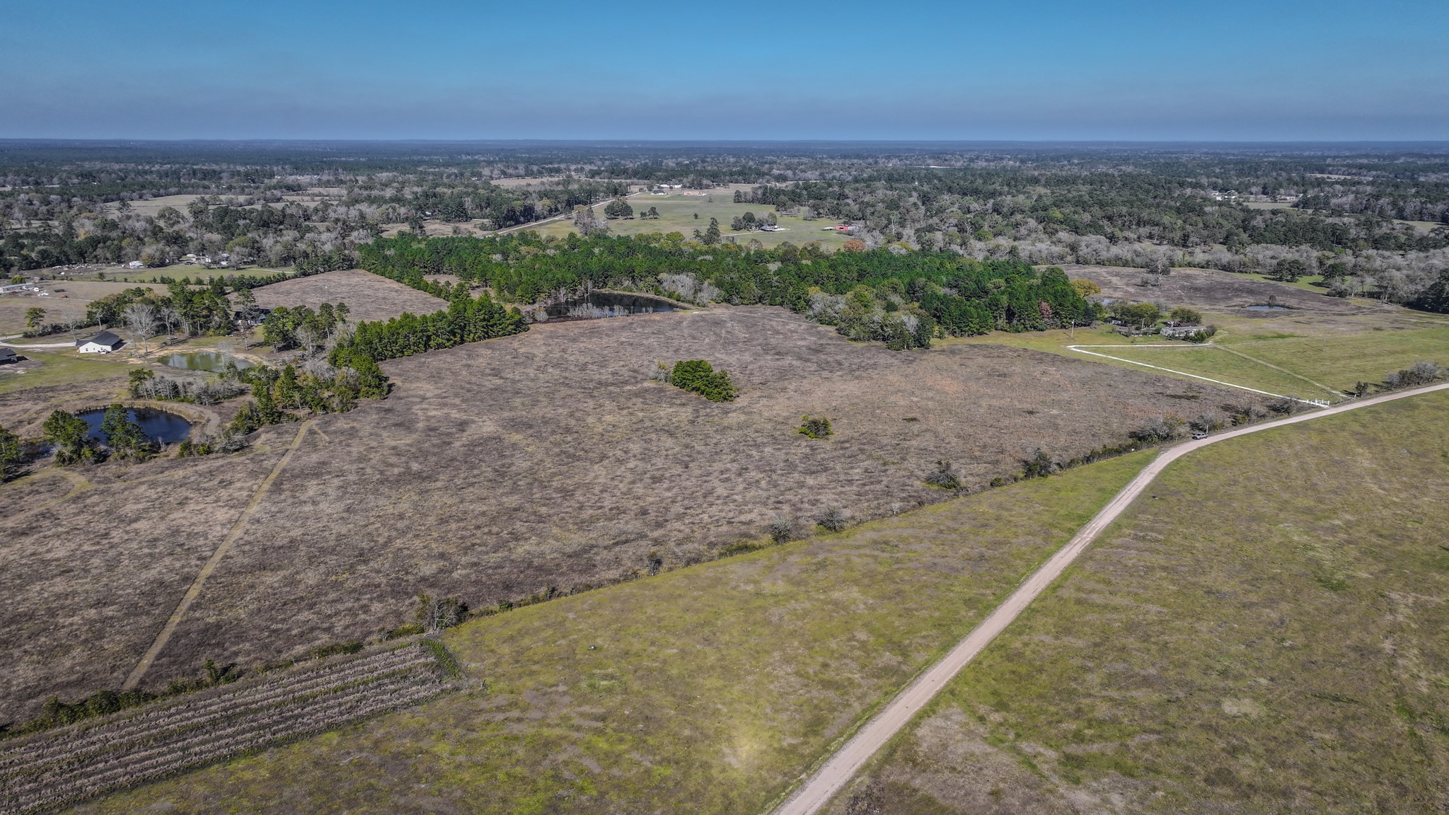 Tbd Lot 1-2 Tbd Road New Waverly, TX 77358 - Photo 27 of 29 a view of a dry yard with wooden fence