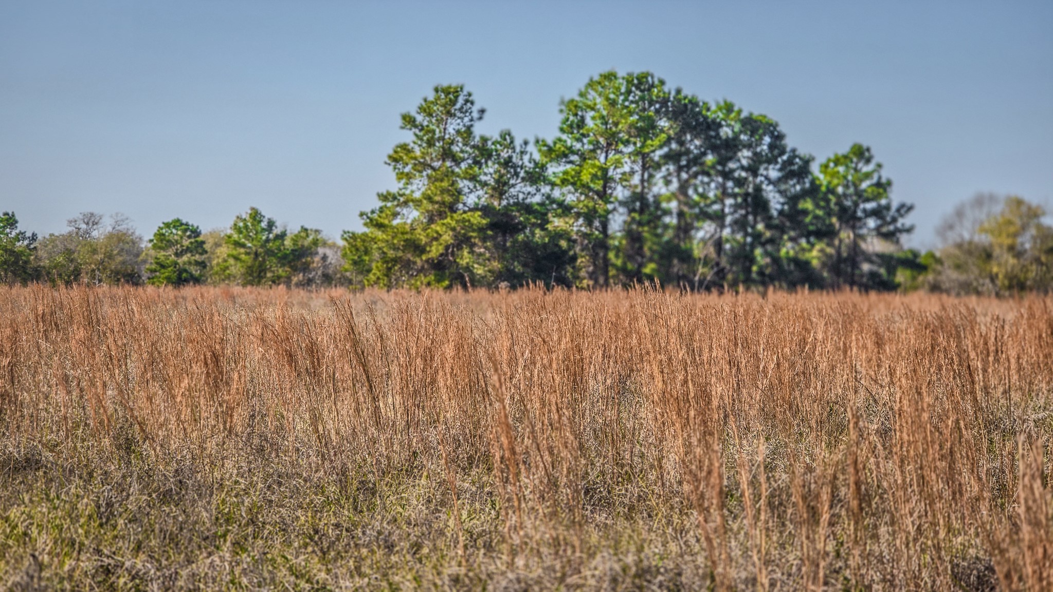 Tbd Lot 1-2 Tbd Road New Waverly, TX 77358 - Photo 3 of 29