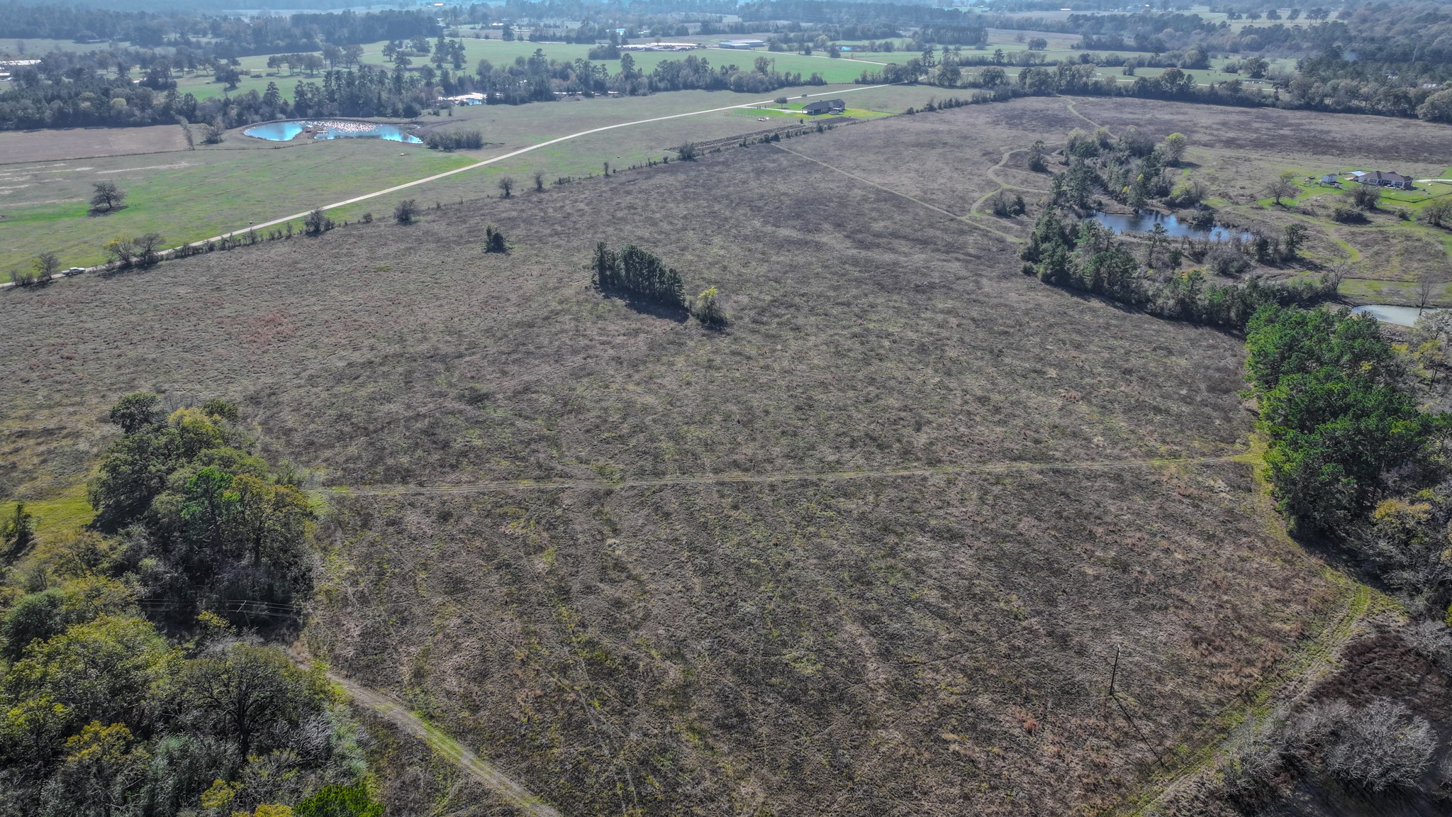 Tbd Lot 1-2 Tbd Road New Waverly, TX 77358 - Photo 10 of 29 a view of a dry yard with green space