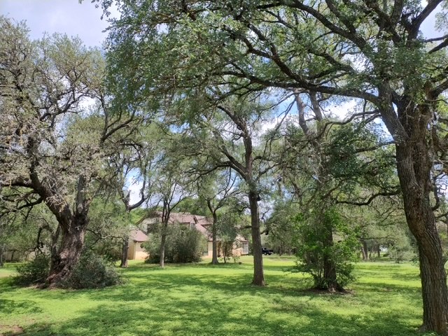 1112 Live Oak Loop Buda, TX 78610 - Photo 1 of 1 A verdant oasis showcasing a secluded residence nestled among mature trees and an expansive lawn.