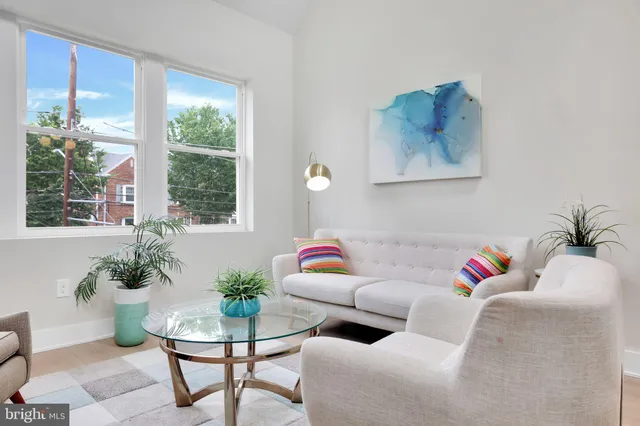 a living room with furniture and a potted plant
