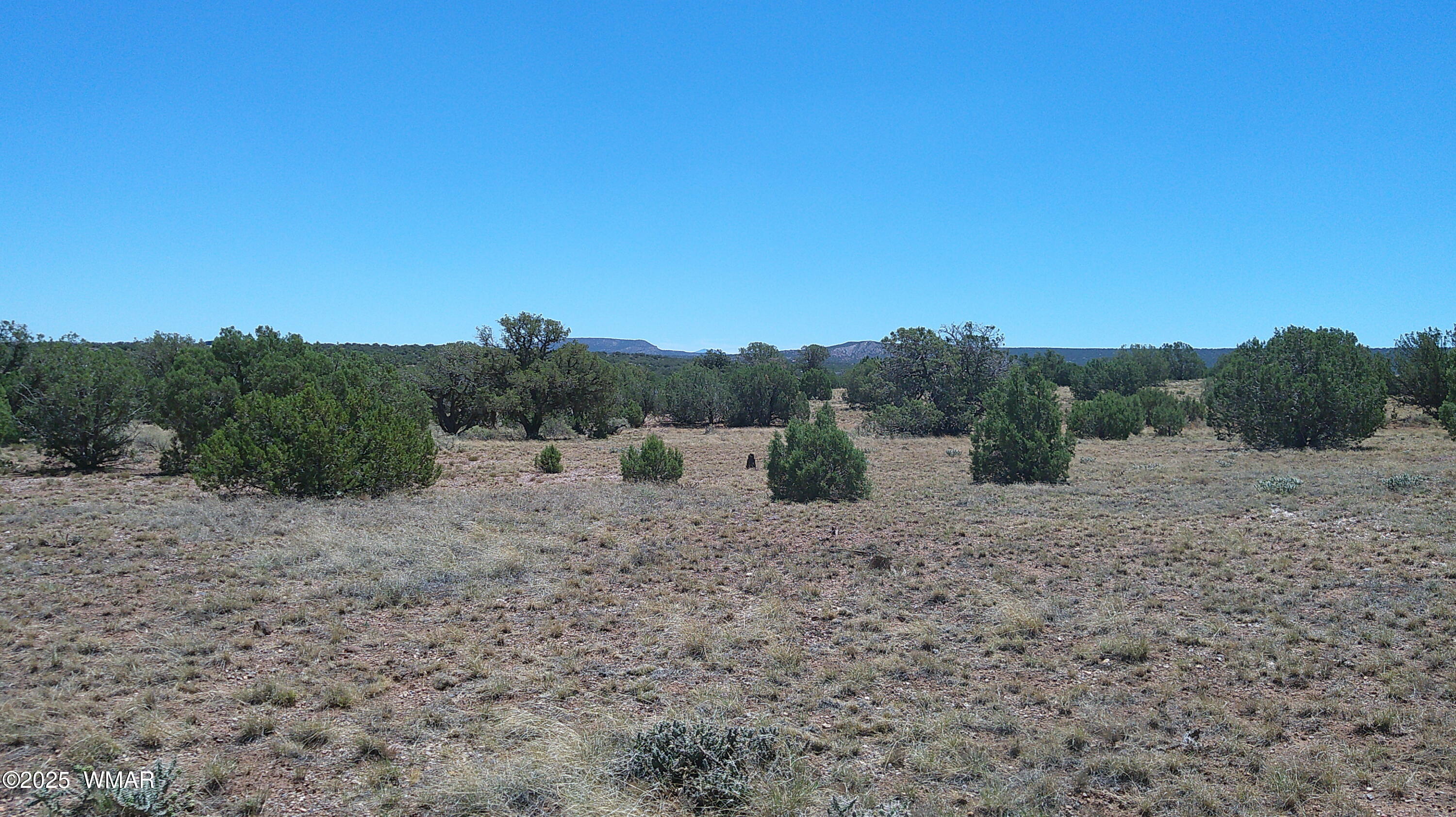 4247 East Pinto Road Snowflake, AZ 85937 - Photo 1 of 16 a view of a dry yard with wooden fence