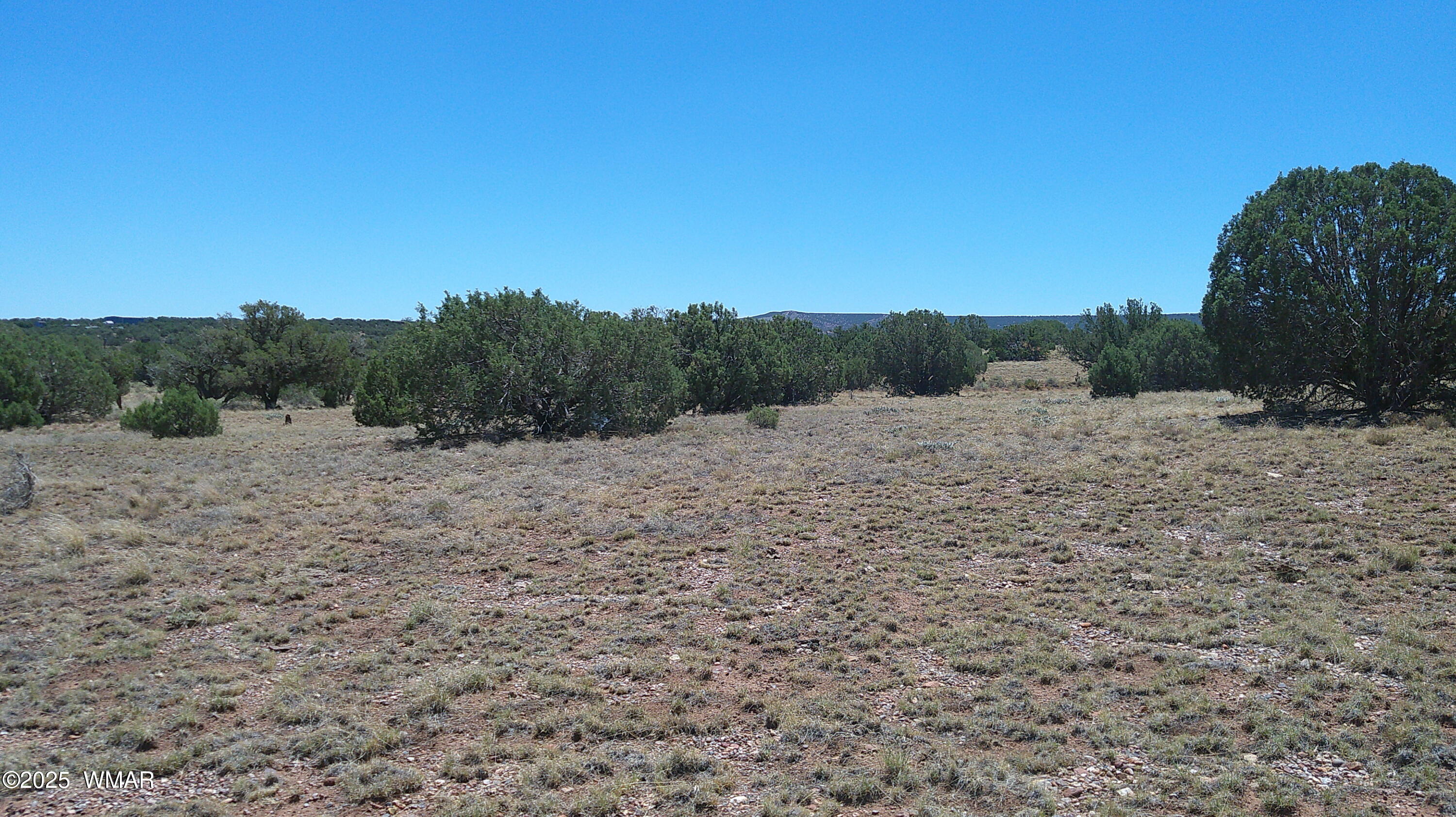 4247 East Pinto Road Snowflake, AZ 85937 - Photo 12 of 16 a view of a field with trees in the background