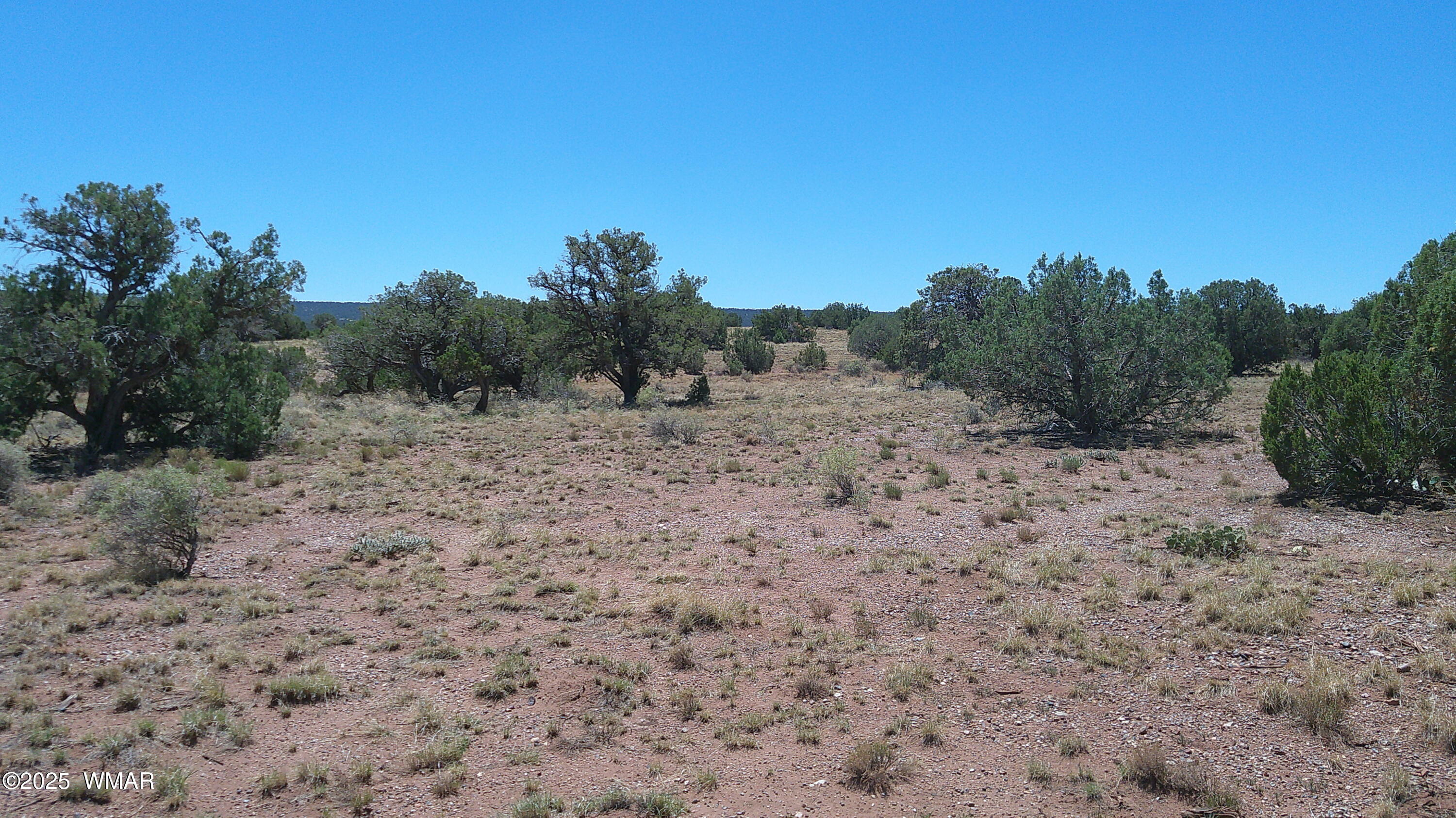 4247 East Pinto Road Snowflake, AZ 85937 - Photo 13 of 16 a view of a dry yard with trees in the background