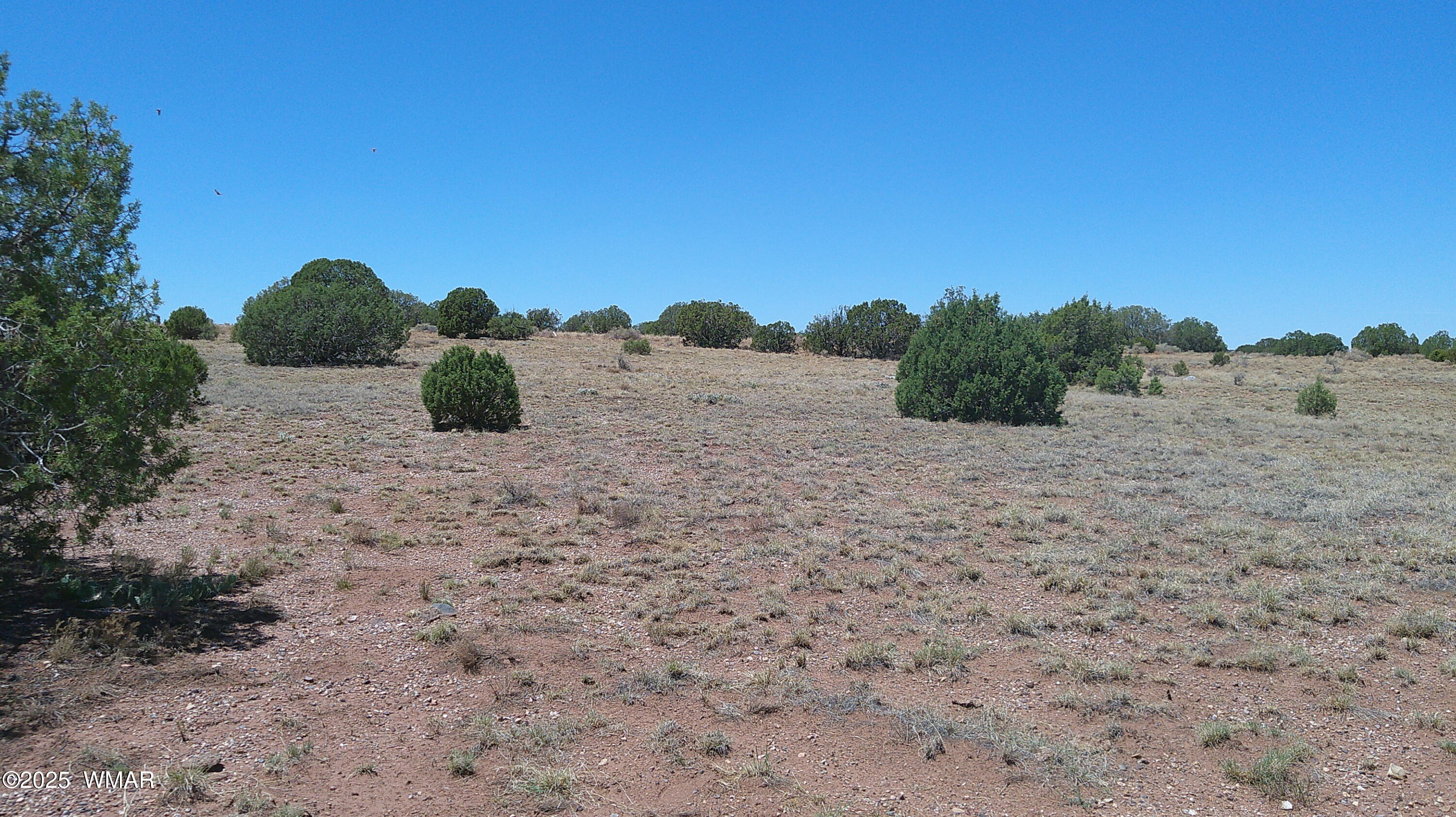 4247 East Pinto Road Snowflake, AZ 85937 - Photo 14 of 16 a view of a dry yard with wooden fence