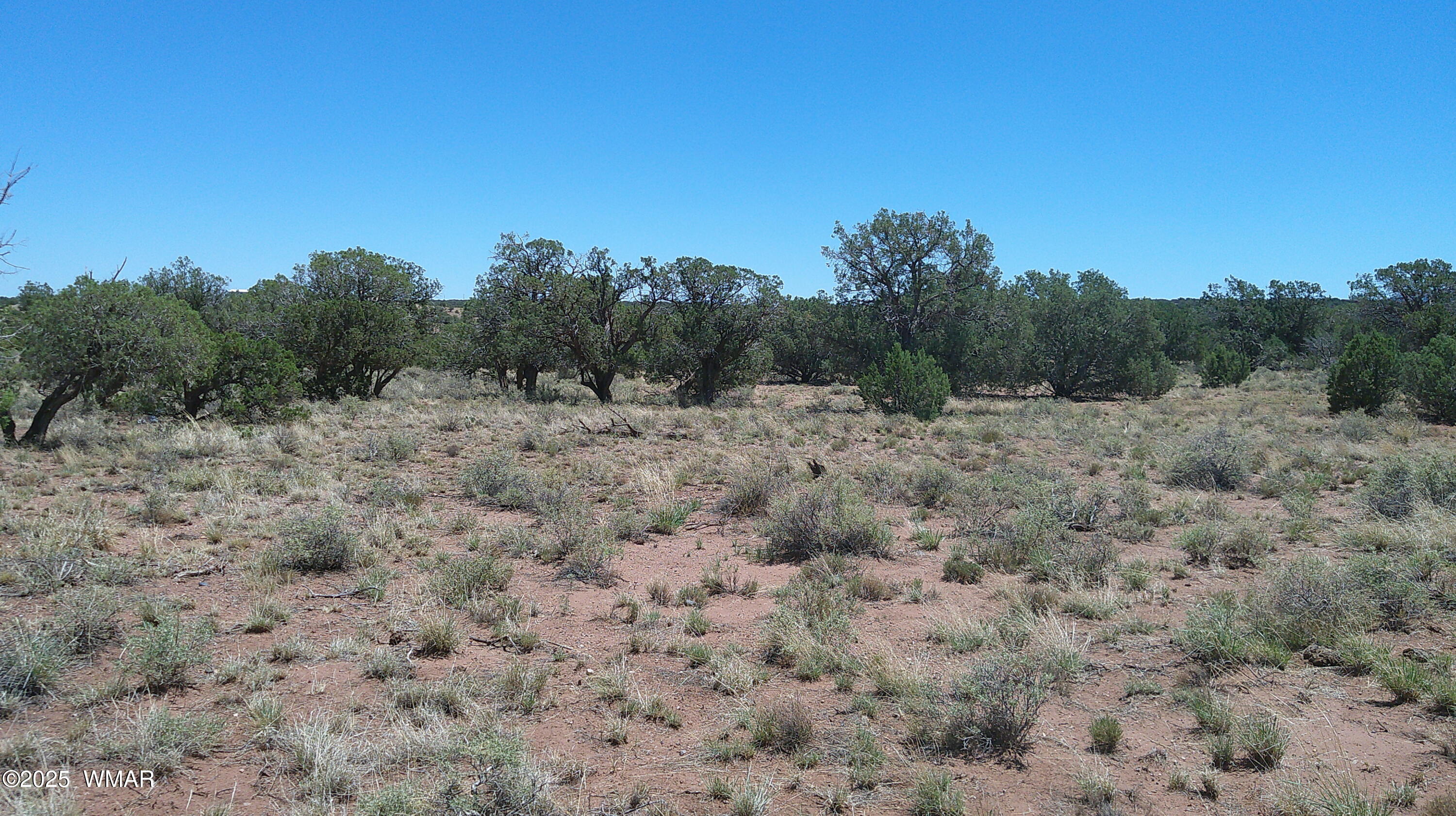 4247 East Pinto Road Snowflake, AZ 85937 - Photo 15 of 16 a view of a dry field