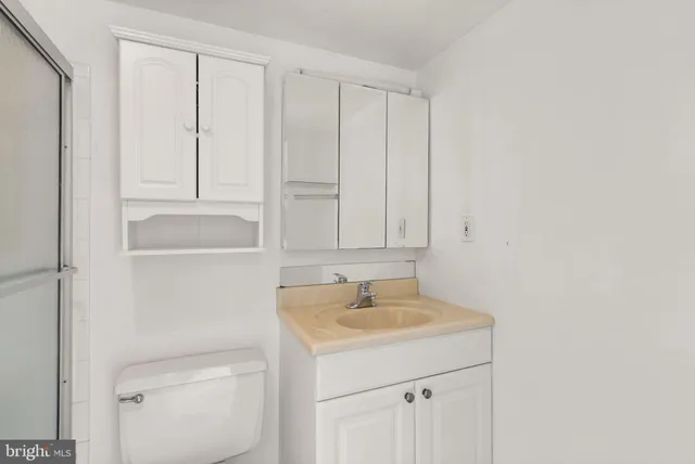 a bathroom with a sink a toilet and vanity