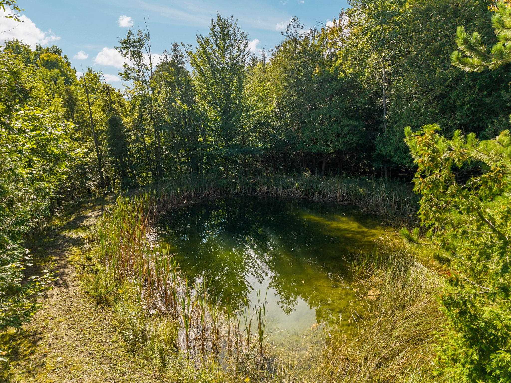 4682 Valley Road Bellaire, MI 49615 - Photo 30 of 37 Gallery Image 30
