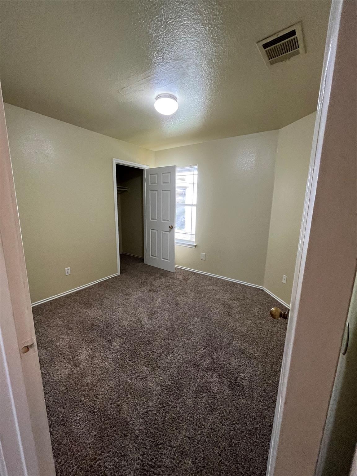 3001 Caleb Drive Austin, TX 78725 - Photo 11 of 16 Unfurnished bedroom featuring carpet flooring, a textured ceiling, and a spacious closet