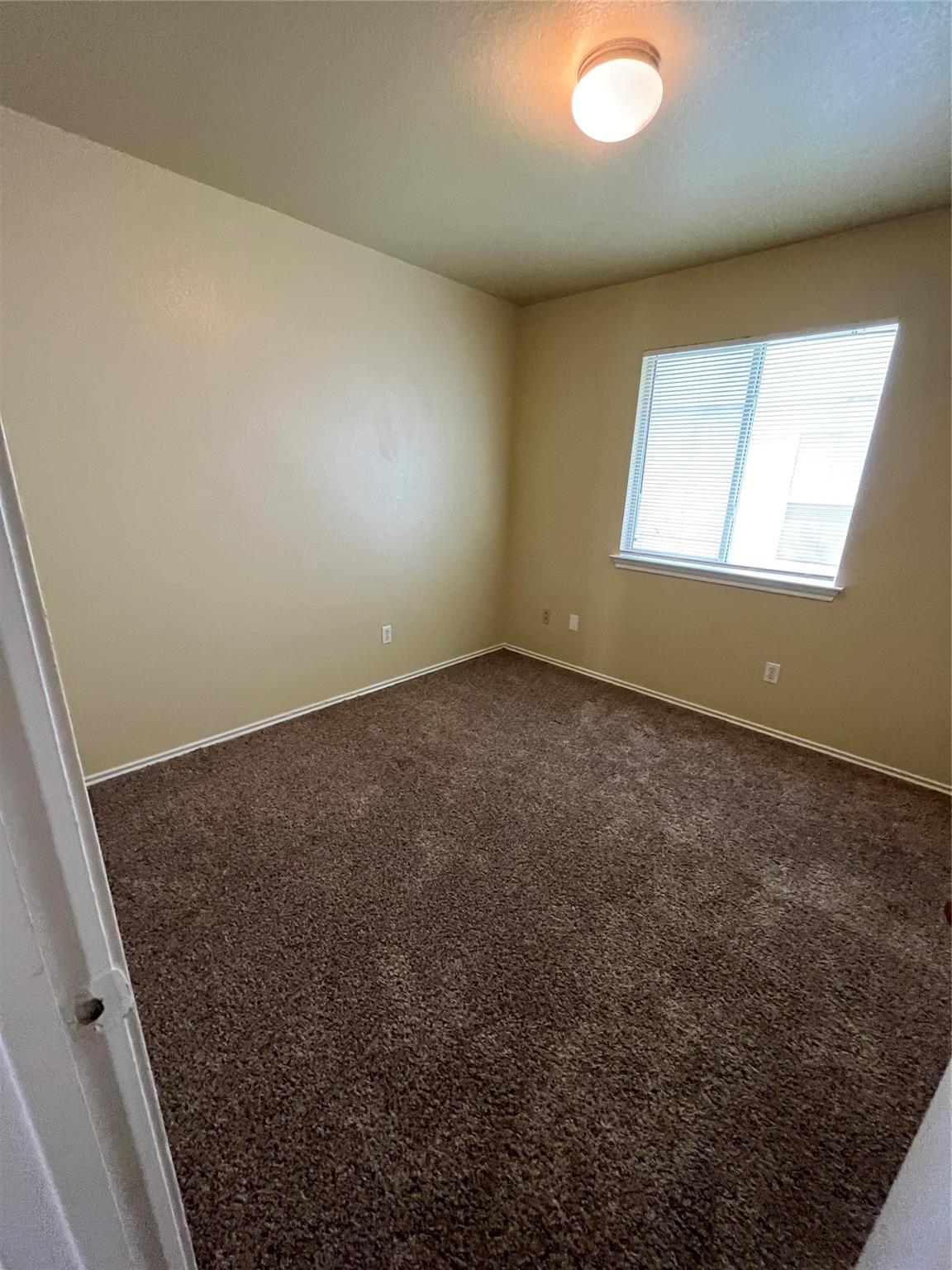 3001 Caleb Drive Austin, TX 78725 - Photo 12 of 16 Carpeted spare room with baseboards