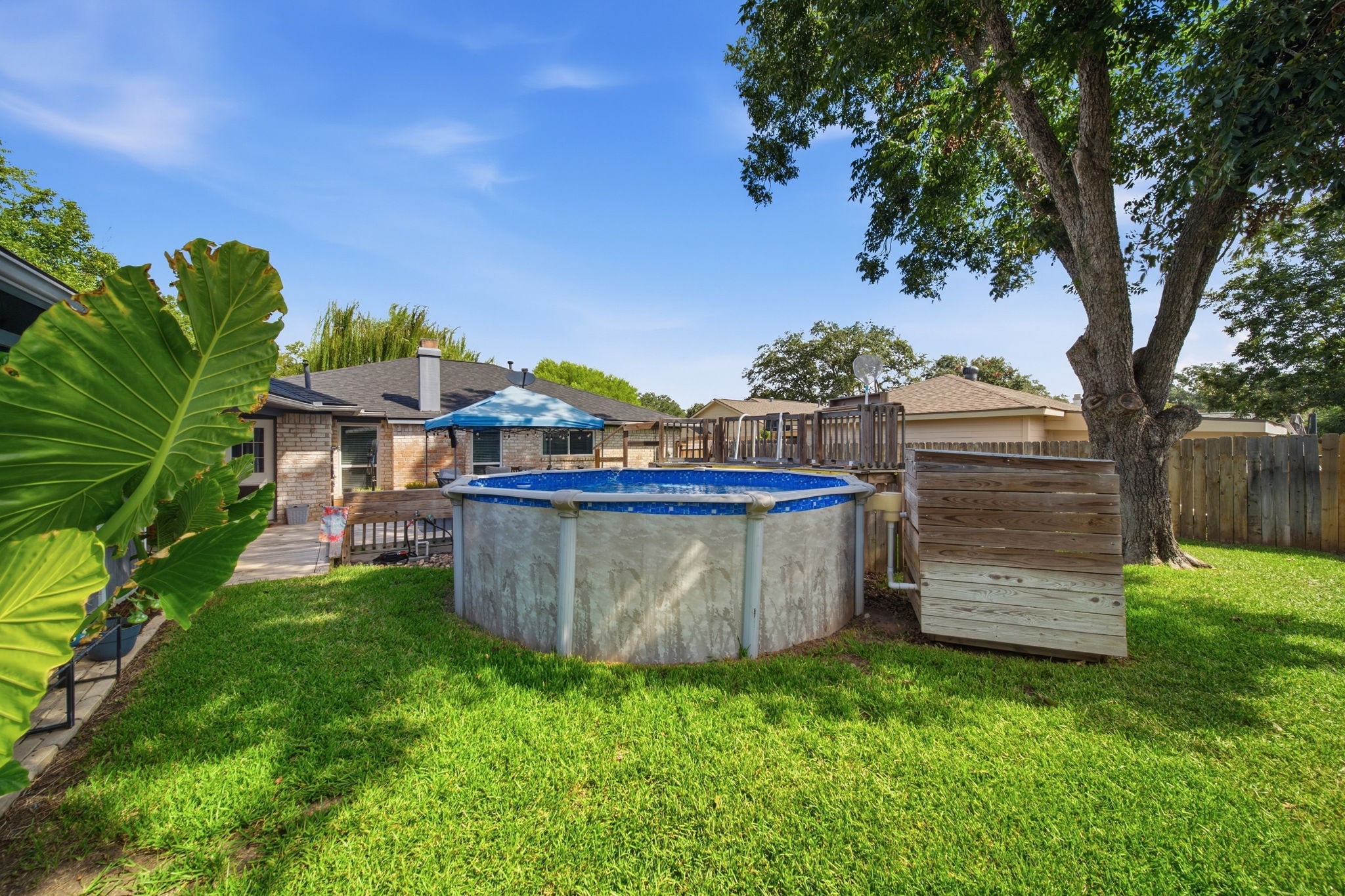 19519 Ricelake Lane Houston, TX 77084 - Photo 32 of 47 Charming backyard with a spacious above-ground pool, surrounded by lush greenery and mature trees, perfect for outdoor relaxation and entertaining.
