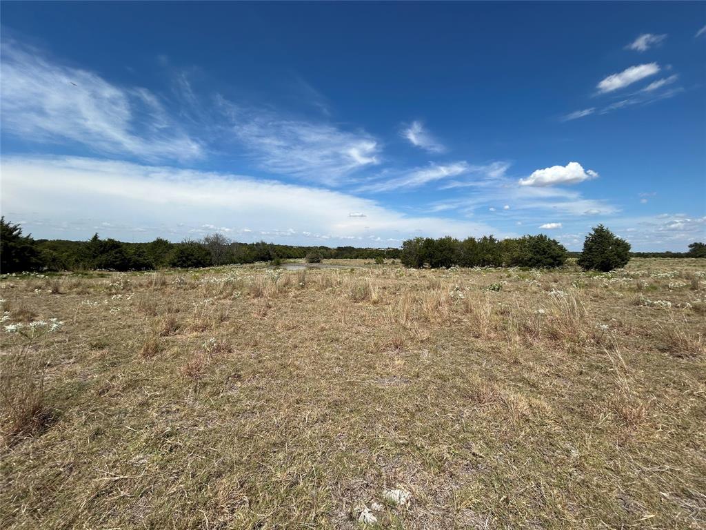 Tbd Lone Tree Road Nevada, TX 75173 - Photo 8 of 11 Gallery Image 8