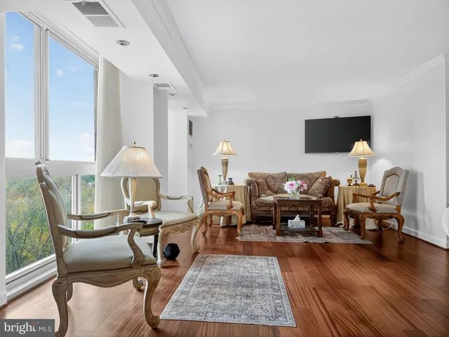 a living room with furniture wooden floor and a rug