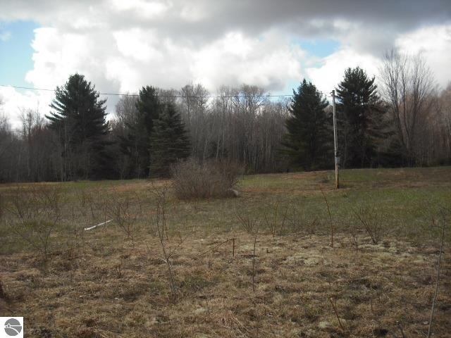 4773 Voice Road Kingsley, MI 49649 - Photo 5 of 15
