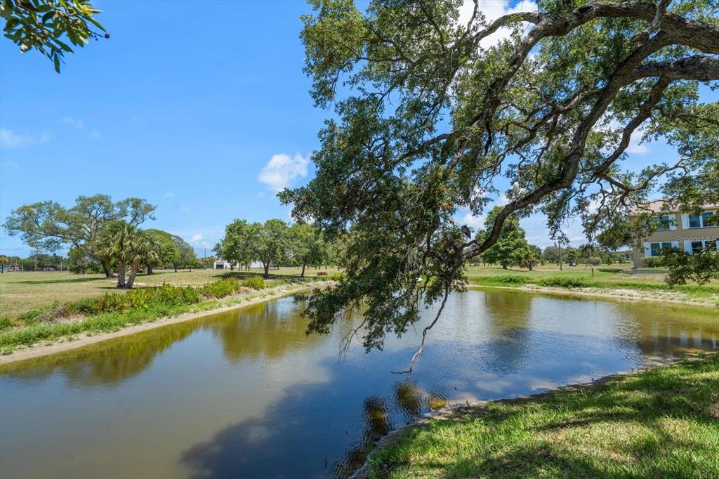 2152 Gulf View Boulevard, Unit 2152 Dunedin, FL 34698 - Photo 39 of 65
