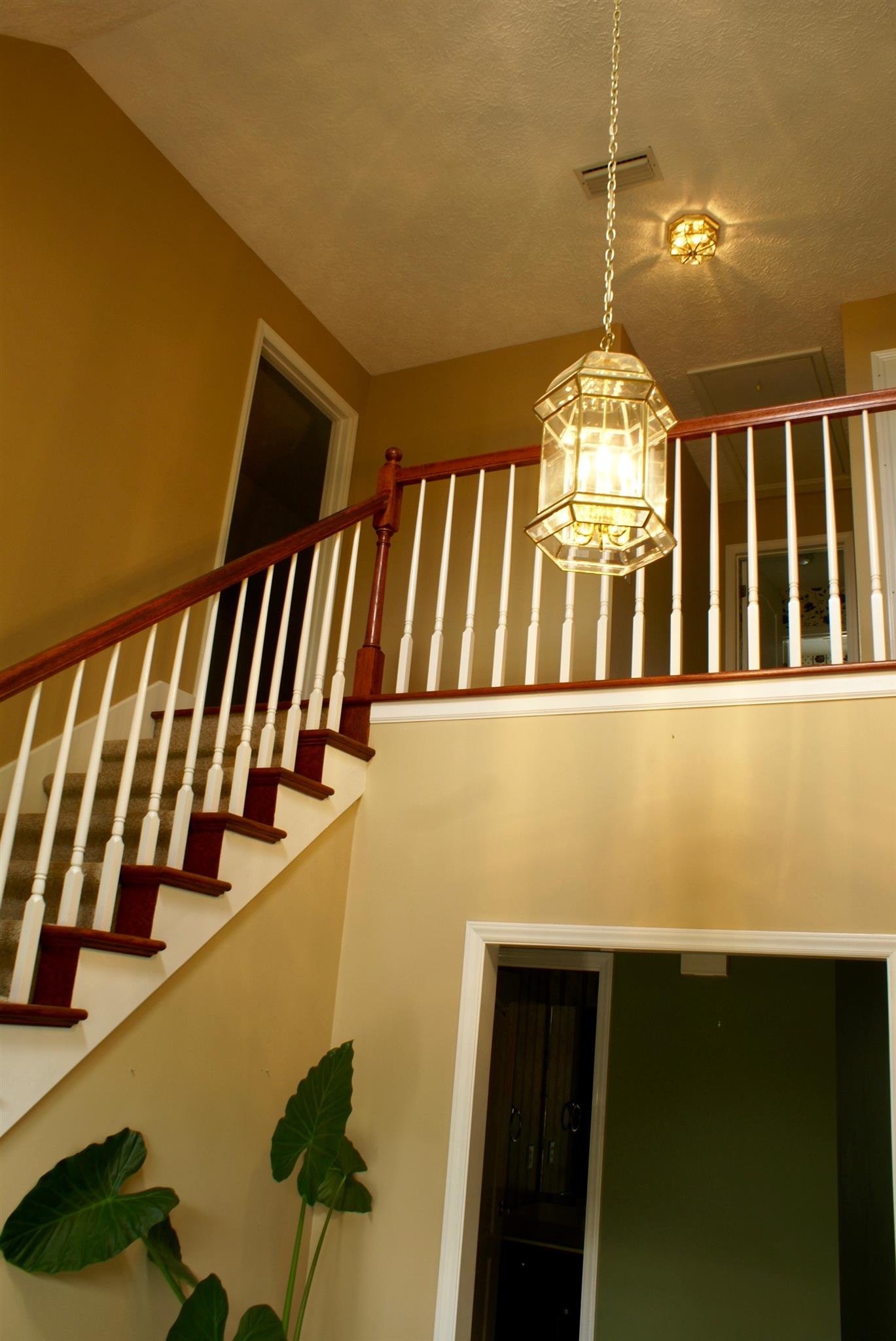 5308 West Trimble Road Milton, TN 37118 - Photo 4 of 29 Entrance into the foyer...